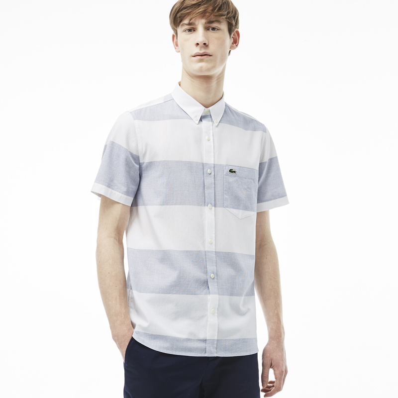 Lacoste CH5279: Light Blue Lacoste CH5279: Light Blue